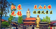 ts大屌江苏无锡灵山大佛旅游风景区